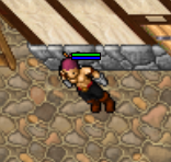 Assassin Oufit